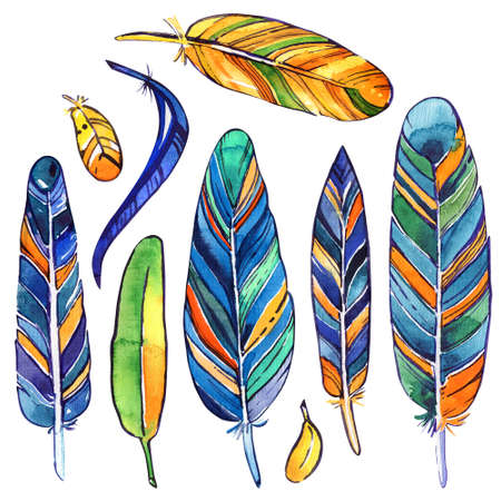 Feathers watercolor isolated white backgroundの写真素材