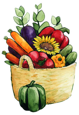Vegetables in the basket, watercolor illustrationの写真素材