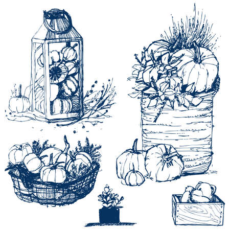 Autumn Sketch Pumpkin Sketch Setの写真素材