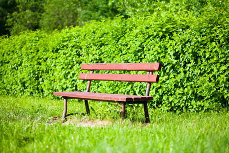  bench in the park