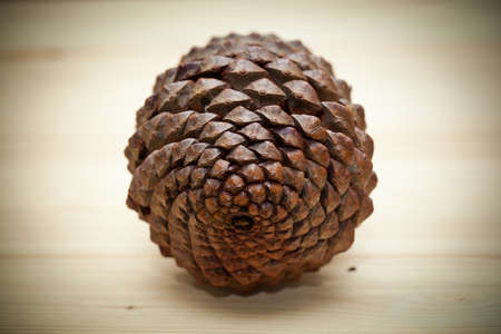 beautiful texture bumpsの写真素材