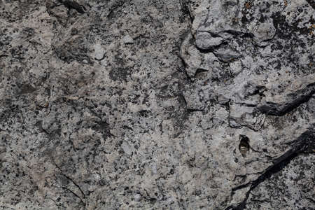 texture of gray stone. Background, blank space for design. Abstract stone surface close-upの写真素材