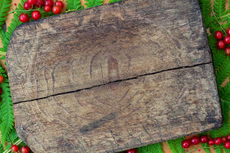 Old wooden cutting board. Red currant berriesの写真素材