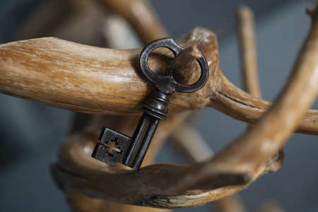 A beautiful vintage key hangs on the branches of a decorative treeの写真素材