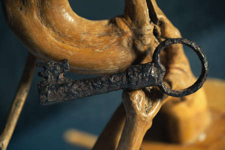 A large metal key hangs from decorative branchesの写真素材