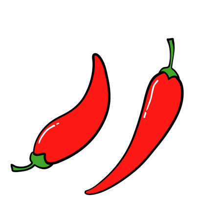 hand drawn chilly pepper. Hot red chili peppers, cartoon mexican chilli or chillies illustration, vectors paprika. doodleのイラスト素材