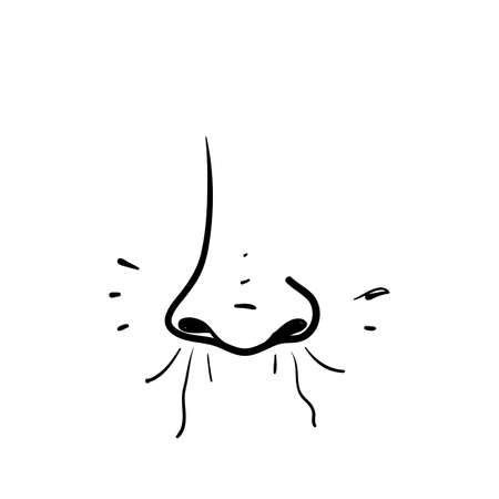 hand drawn doodle nose sense smell illustration icon isolatedのイラスト素材