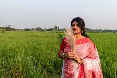 A picture of a Bengali girl wearing a red and white sari in a vast paddy field in autumn and the golden light of the afternoon has spread across her face.の写真素材