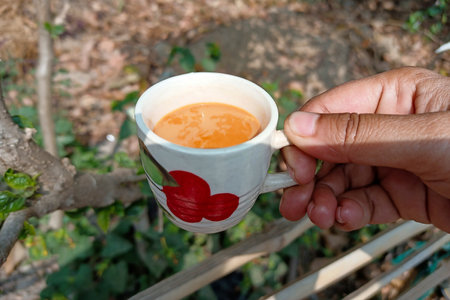 Image of a hand holding a porcelain cup brimming with tea, against the soft focus of a garden backdropの写真素材