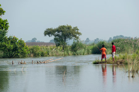 The village boys are exploring a serene riverbank. Their reflections shimmer in the still water, surrounded by tall grasses and dense vegetation, creating a tranquil atmosphere enhanced by distant hazy trees.の写真素材