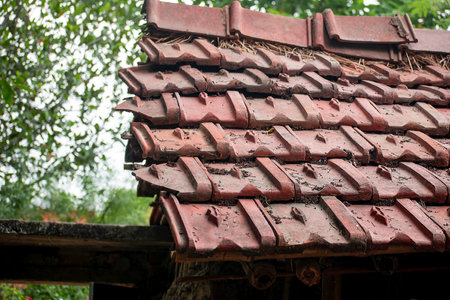 The image shows a close-up of an old, weathered clay tile roof with aged, broken tiles covered in dirt. Its rustic charm contrasts with the lush green foliage in the background, adding to its nostalgic feel.の写真素材
