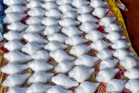 This picture showcases beautifully carved white conch shells neatly wrapped in plastic. In the local language, they are called Shankha, which highlights traditional craftsmanship and cultural charm.の写真素材