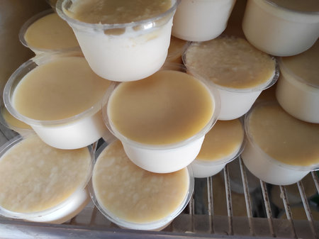 Bengal's famous yogurt 'mishti doi' is kept in some plastic cup in the refrigeratorの写真素材