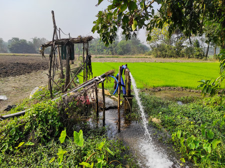 A rural irrigation system is pumping fresh water into a lush green rice paddy field in an Indian village, highlighting sustainable agriculture, rural life, food production, and water resources.の写真素材