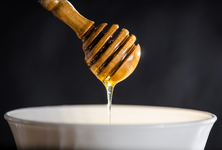 honey dipperの写真素材