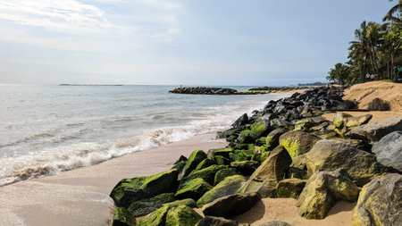 a low tide beach with rocks covered by green algae on a summer dayの写真素材