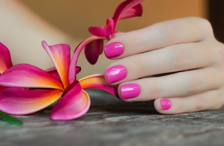 Beautiful pink plumeria flower in female hand with bright manicureの写真素材