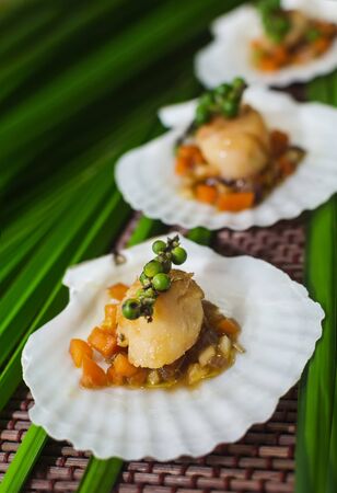 Seared scallops  served on a bed of vegetables, presented on a shell.の写真素材