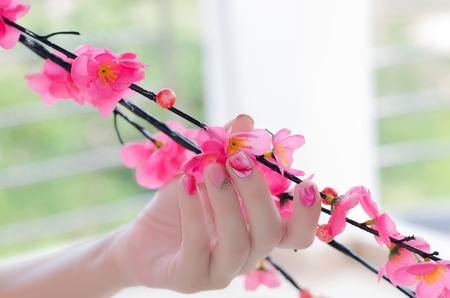 Artificial cherry tree branch in a woman hand with a tender pink nail designの写真素材