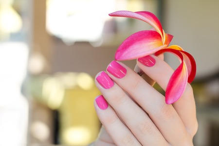 Beautiful pink plumeria flower in female hand with bright manicureの写真素材