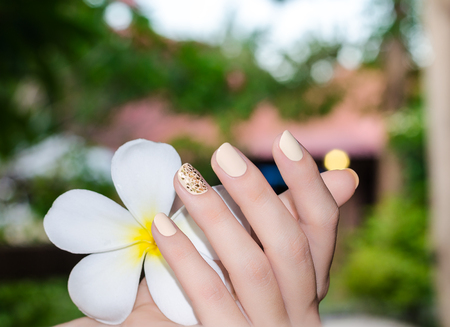 White plumeria in woman hand with bright yellow manicureの写真素材