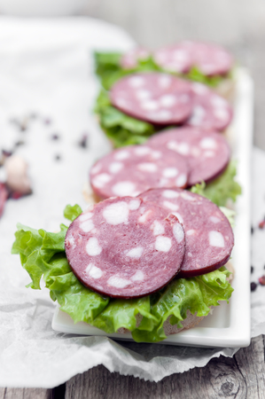 Open sandwich with salami and salad on white plate,の写真素材