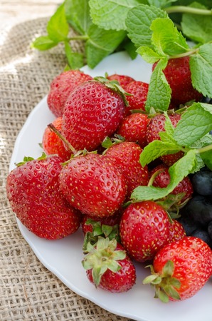 Strawberries in white plate. Close up photo.の写真素材