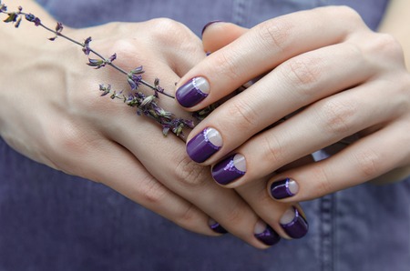Female hand with purple nail design holding lavenderの写真素材