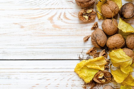 Organic walnuts with yellow leaves on white background.の写真素材