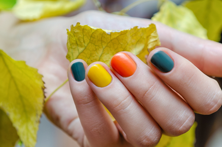 Female hand with colored nail design holding yellow leavesの写真素材