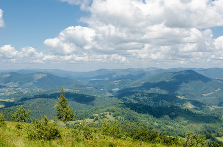 Green Carpathians. Ukrainian mountains, beautiful summer landscapeの写真素材
