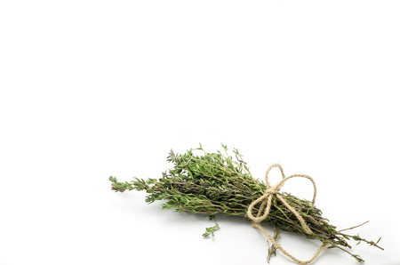Fresh thyme bunch on white background. Horizontal format.の写真素材