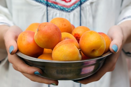 Delicious ripe apricots in female hands. Close up.の写真素材