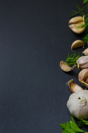 Garlic with dill and parsley on dark background.の写真素材