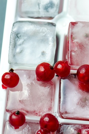 Ice cubes with red currant, close up.の写真素材