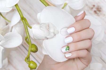 Beautiful female hand with white nail design.の写真素材