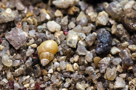 Macro shot of sand at the beach. Small stones, shells, rocks.の写真素材
