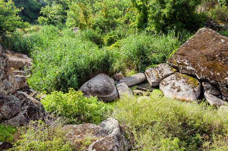 Beautiful countryside river landscape in esummer season.の写真素材