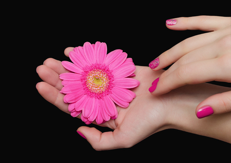 Beautiful female hand with pink nail design, holding flowers. On black background.の写真素材
