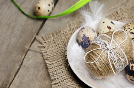 Easter decoration. Decorated Easter eggs and white feather on background.の写真素材