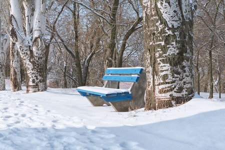 Park in winter snow with banch and trees.の写真素材