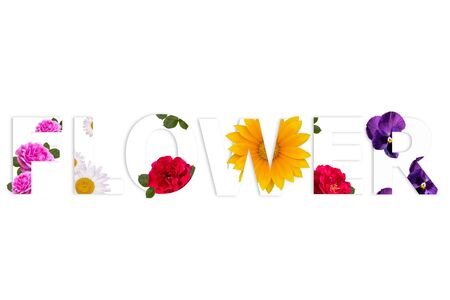 Word FLOWER made of flowers on white backgroundの写真素材