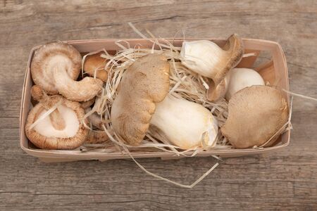 King Oyster Mushrooms on wooden background. Pleurotus eryngiiの写真素材