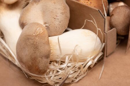 King Oyster Mushroom on wooden background. Pleurotus eryngiiの写真素材
