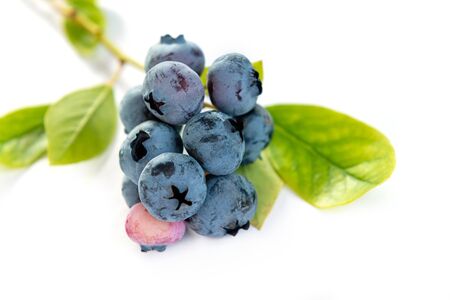 Fresh blueberries with green leaves on white background.の写真素材