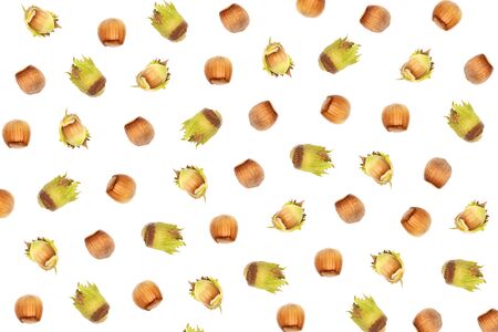 Pattern of raw hazelnuts on white background.の写真素材