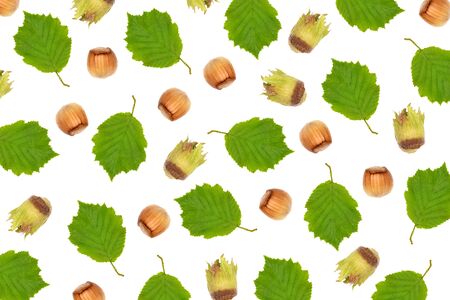 Pattern of raw hazelnuts with leaf on white background.の写真素材