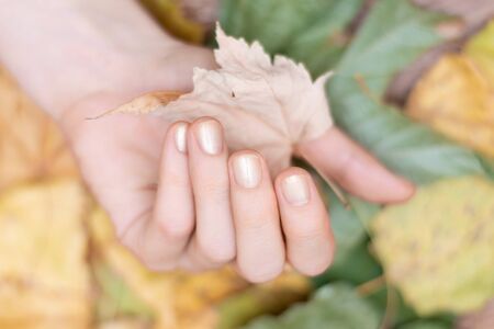 Female hand with glitter nail design holding yellow leaves.の写真素材