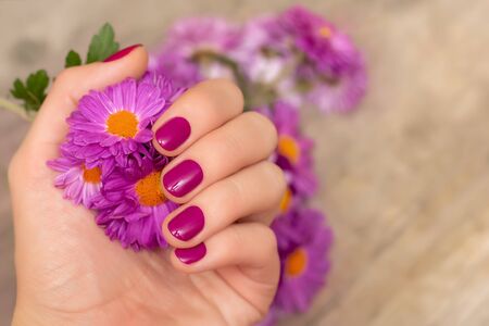 Female hand with pink nail design holding pink flower.の写真素材