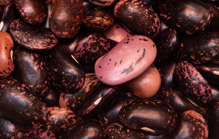 Dark red and purple kidney beans, close upの写真素材